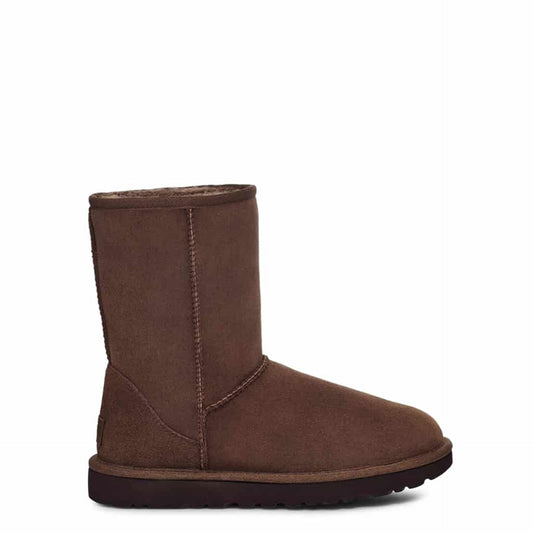 UGG Enkel laarzen
