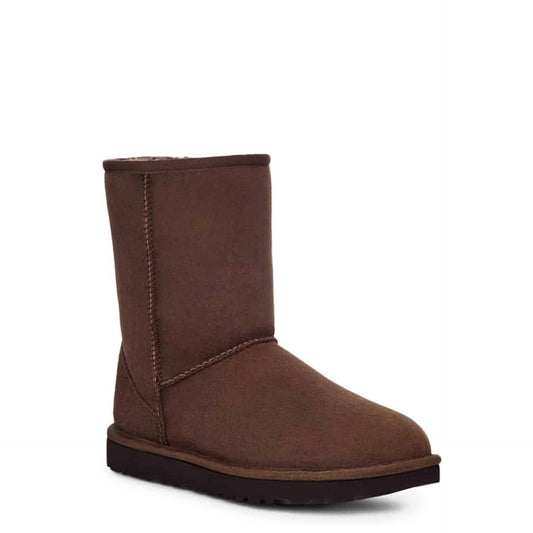 UGG Enkel laarzen